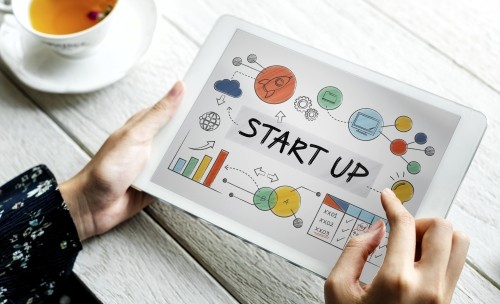 Advisors In Start-ups And Early Stage Companies