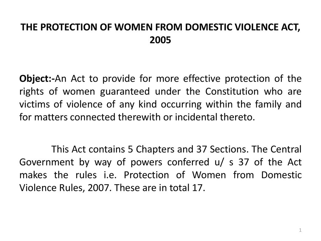 define domestic violence act 2005