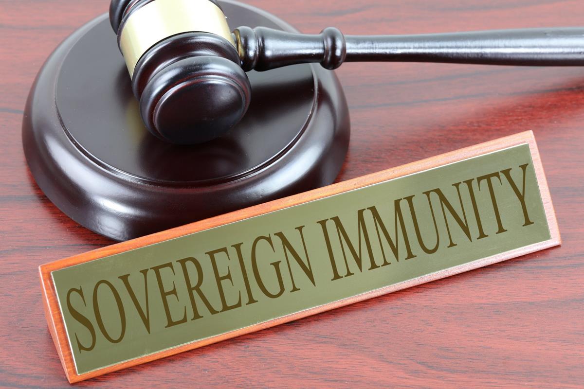 What Is The Sovereign Immunity